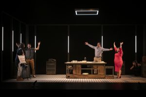 ANIMALES DE COMPAÑÍA Animales De Compania 39 300x200